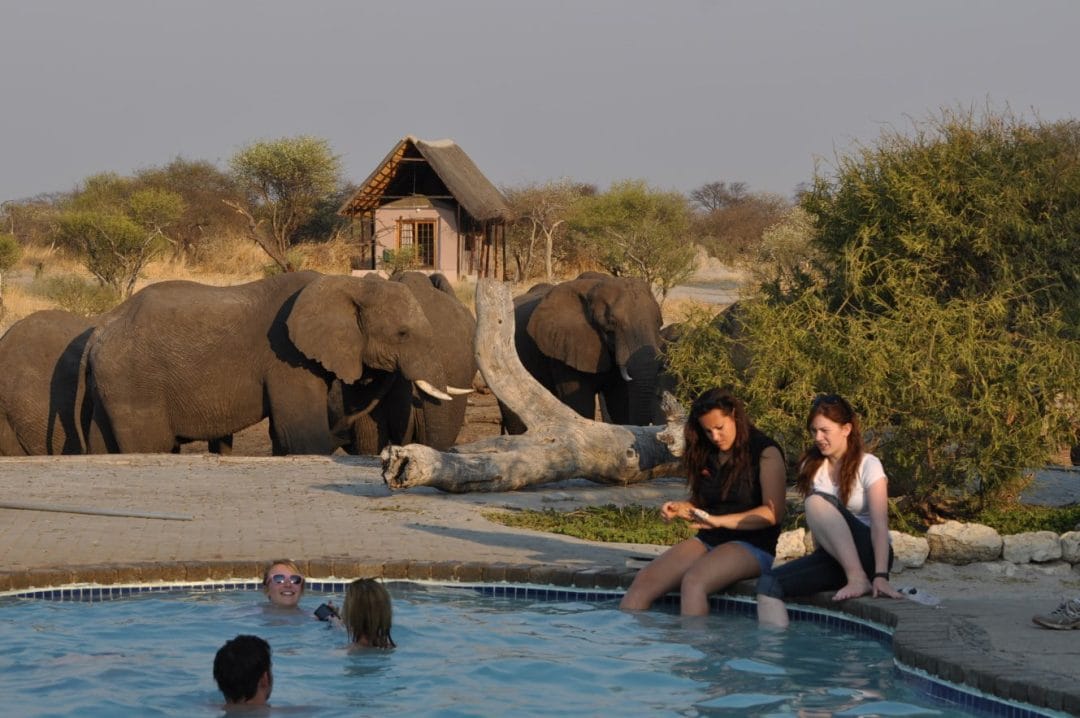 Elephant Sands