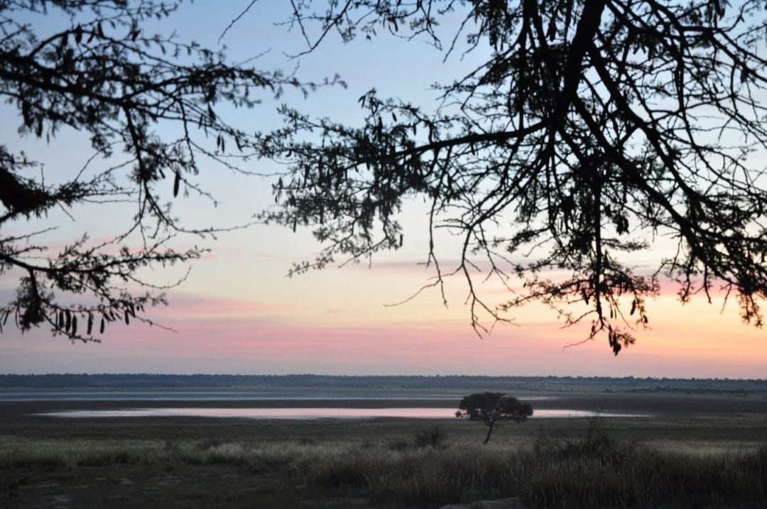 Kgalagadi Safari