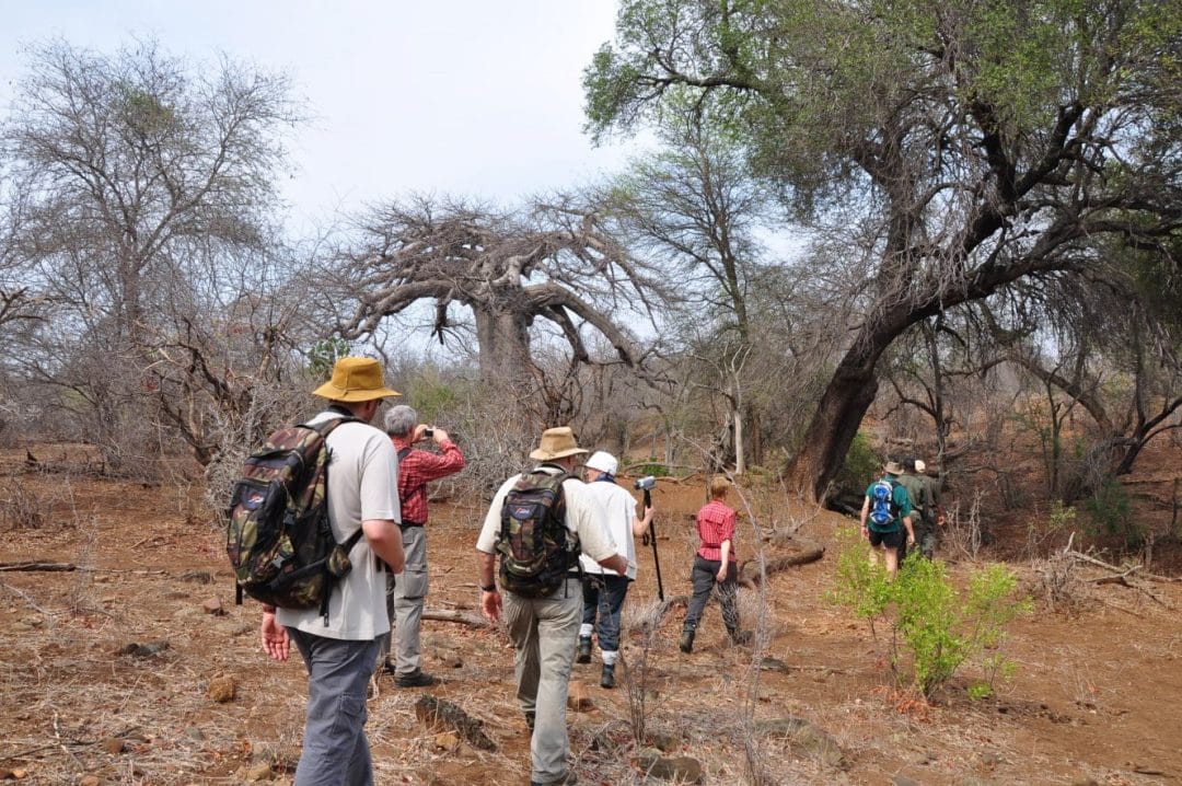 Kruger Park