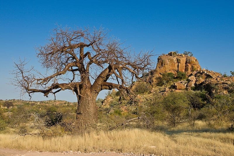 Mapangubwe