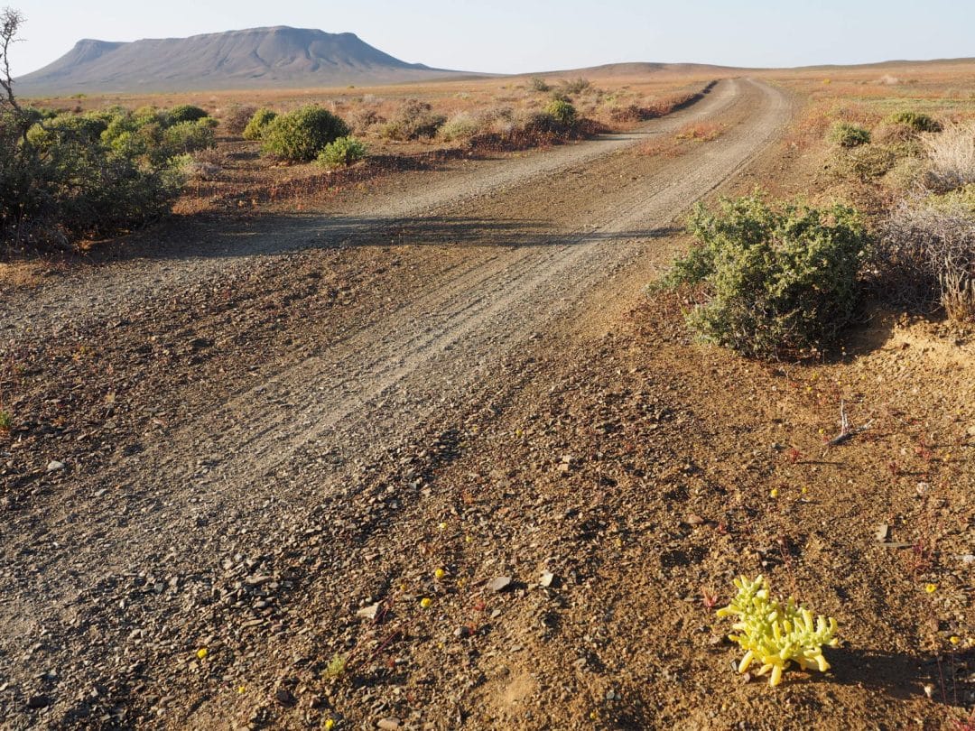 Tankwa Karoo