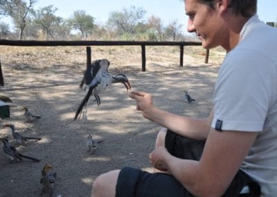 Kruger national Park