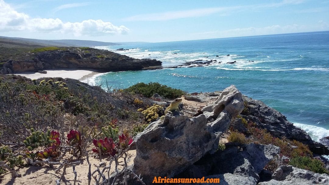Overberg Whale Trail