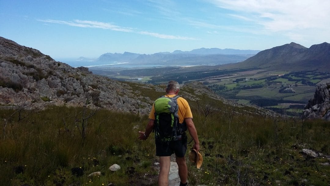 Wine and Whale Walk South Africa