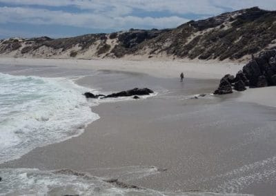 Overberg Wine Ramble